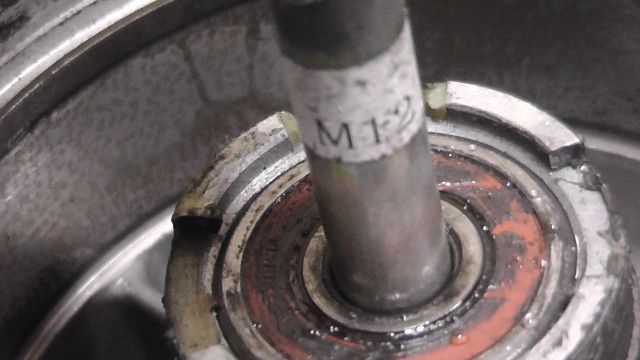 M12 1746164192