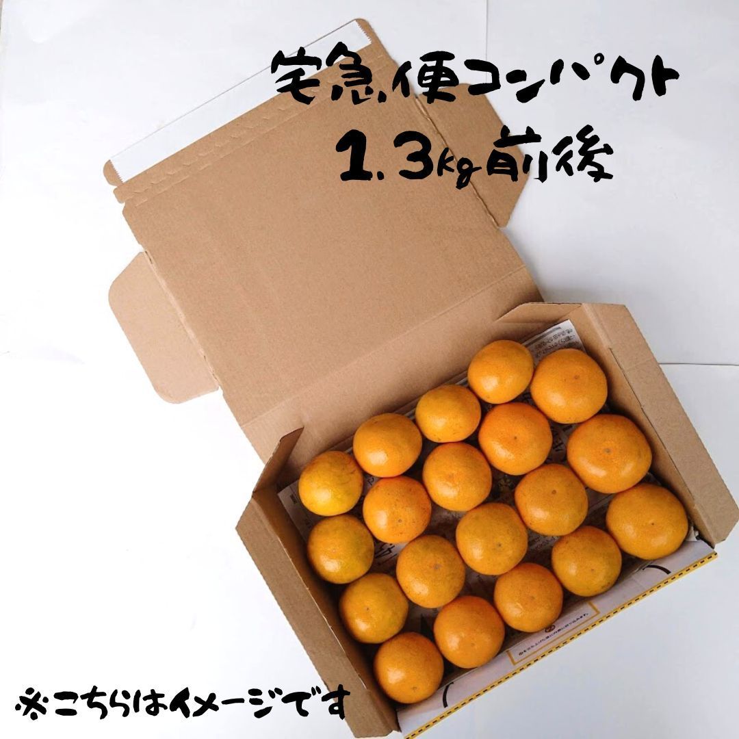 土佐小夏 宅急便コンパクト 約1kg - 食品