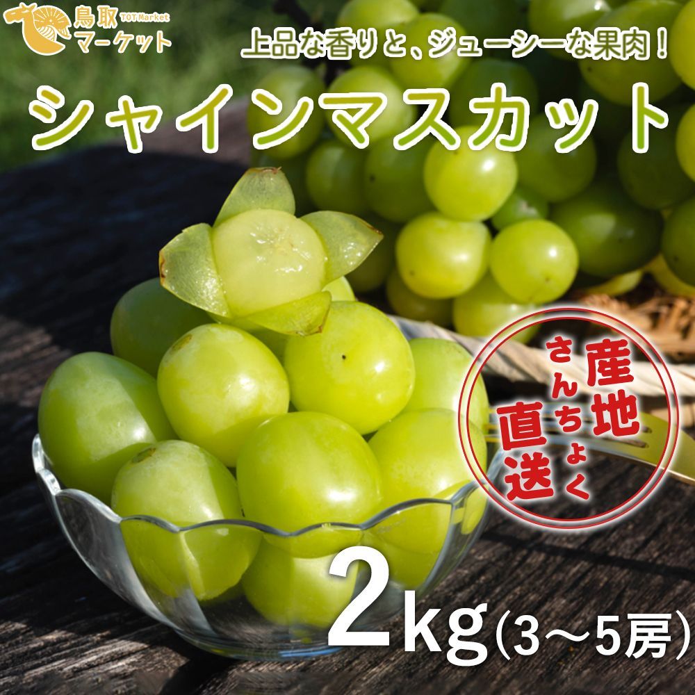 シャインマスカット 2kg 鳥取県産
