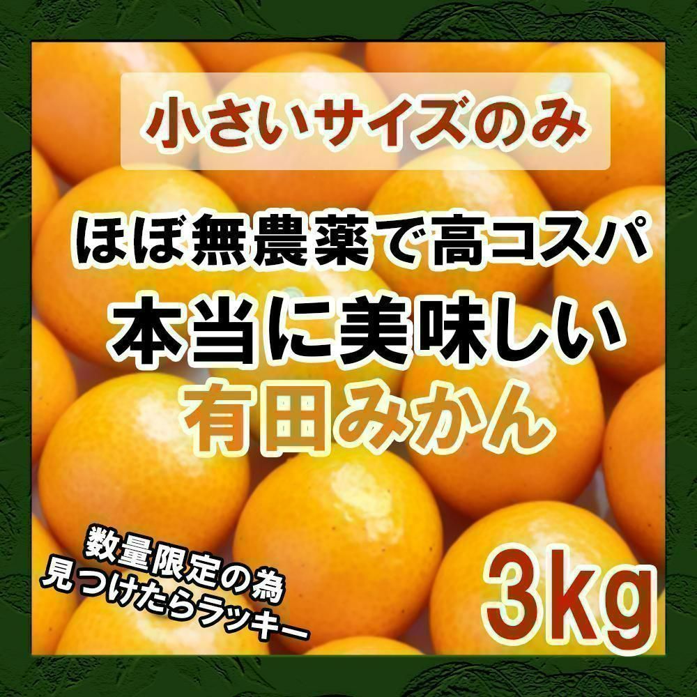 送料無料特別価格 美味しいみかん 3キロ ssサイズ - 食品