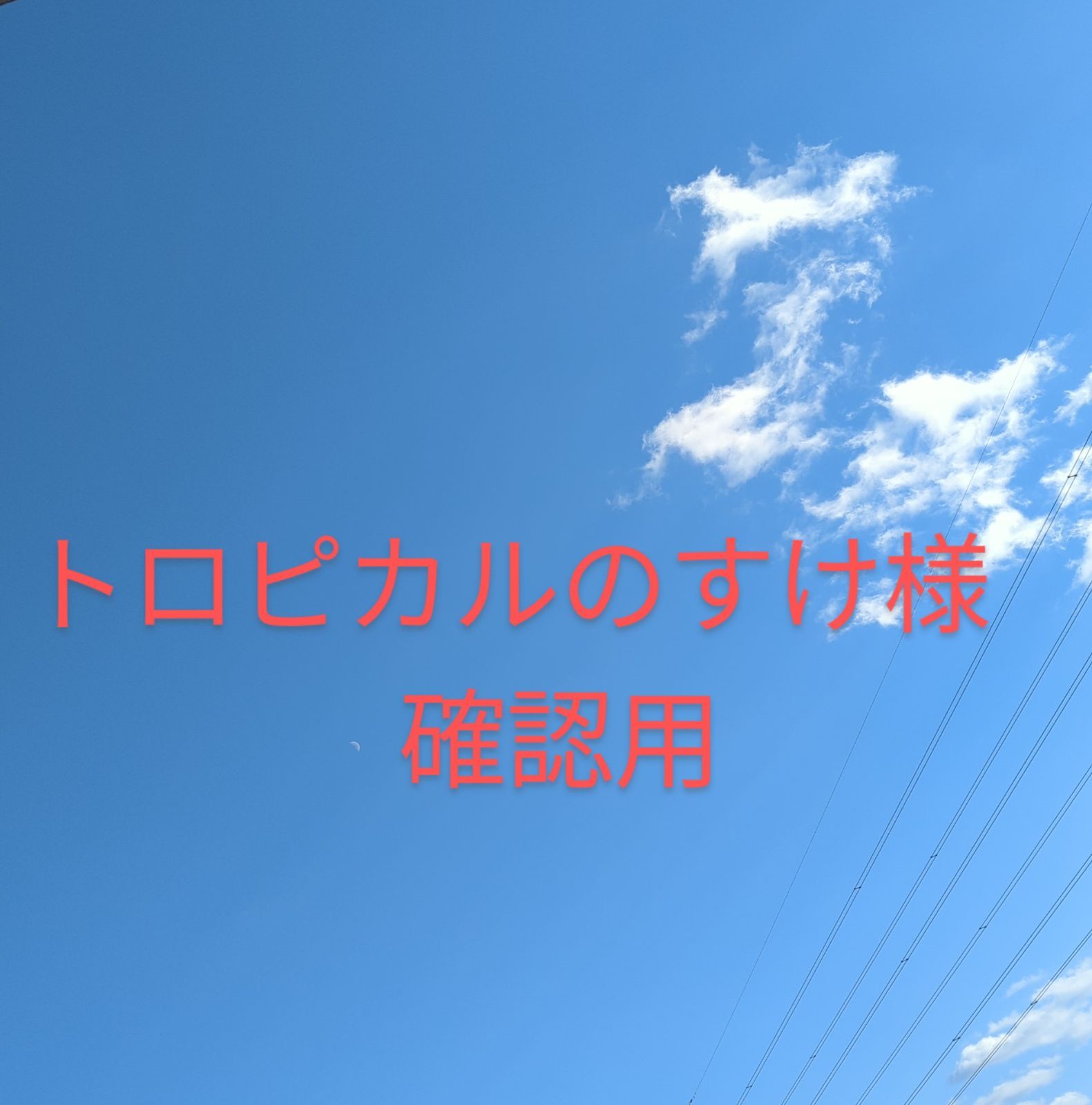 トロピカルのすけ様確認用 アロエ - メルカリ