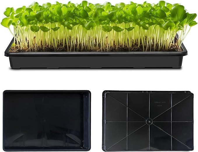 新品】平野紫耀 田中樹着用モデル テクノパンツ GS number i 平野紫耀