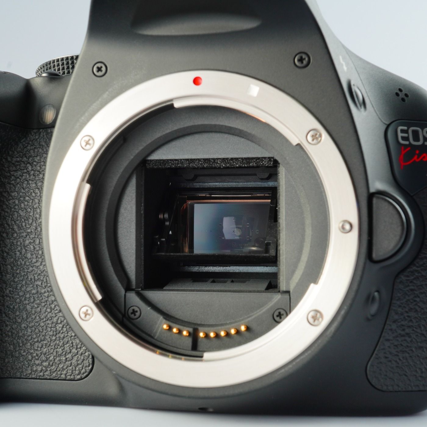 Canon キヤノン EOS Kiss X5 ( Rebel T3i ) + EF-S 18-55mm F/3.5-5.6