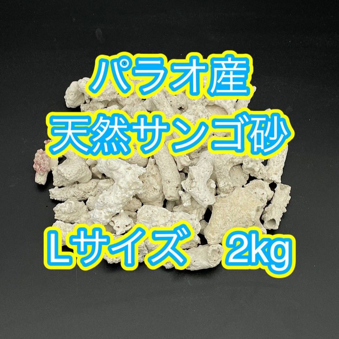 パラオ産サンゴ砂 Lサイズ 2ｋｇ - メルカリ