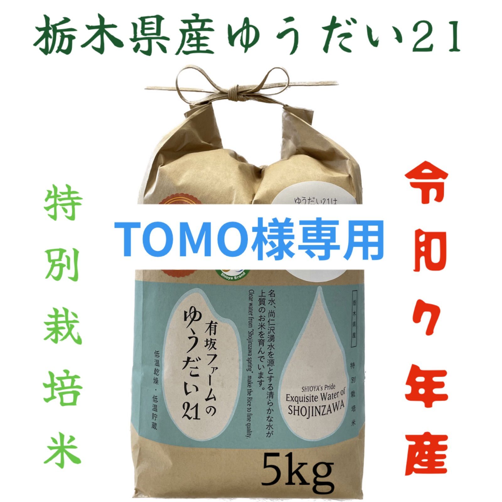 専用出品　tomo様専用