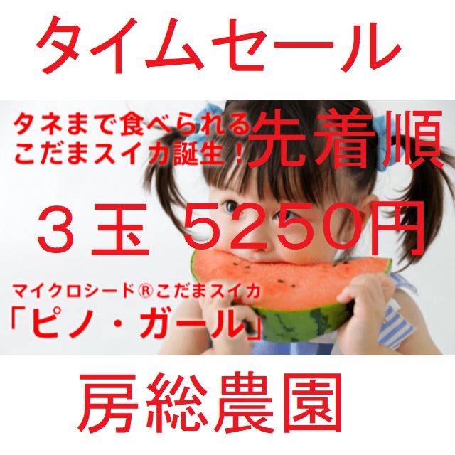 先着順・５２５０円「小玉すいかランキング第1位」「ピノガール」種まで食べられます - メルカリ