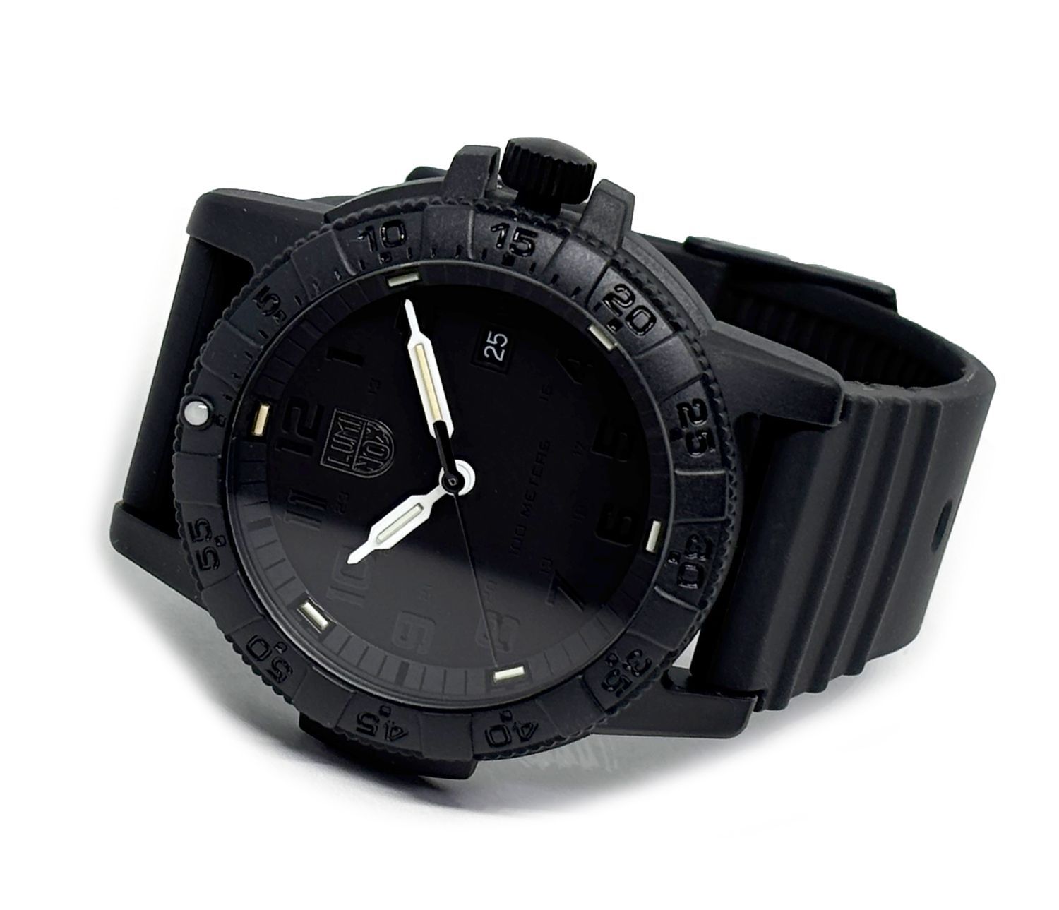 即納】 LUMINOX ルミノックス LEATHERBACK SEA TURTLE GIANT 0320