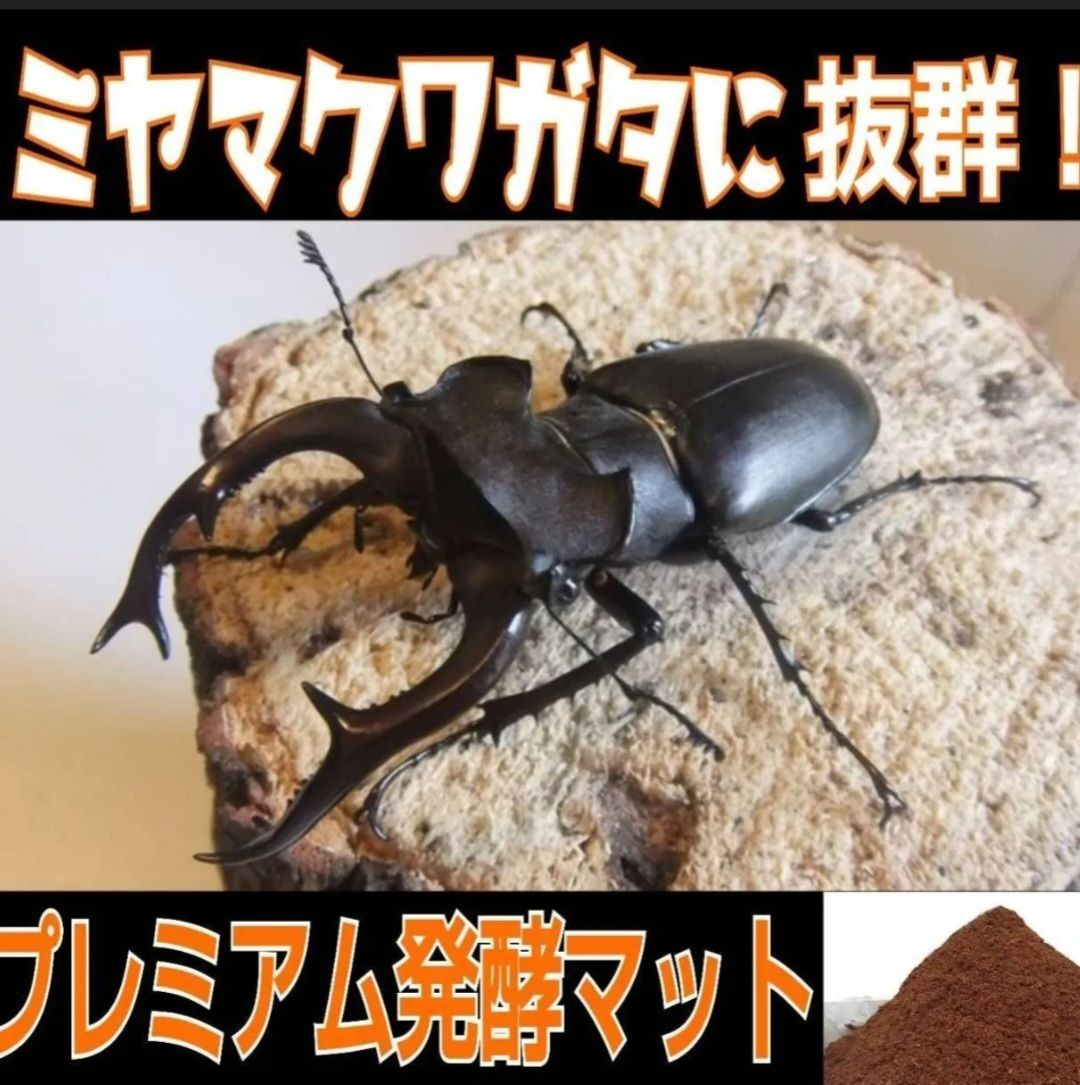 栄養添加剤 特殊アミノ酸