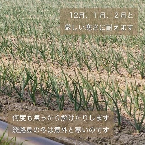 のサムネイル