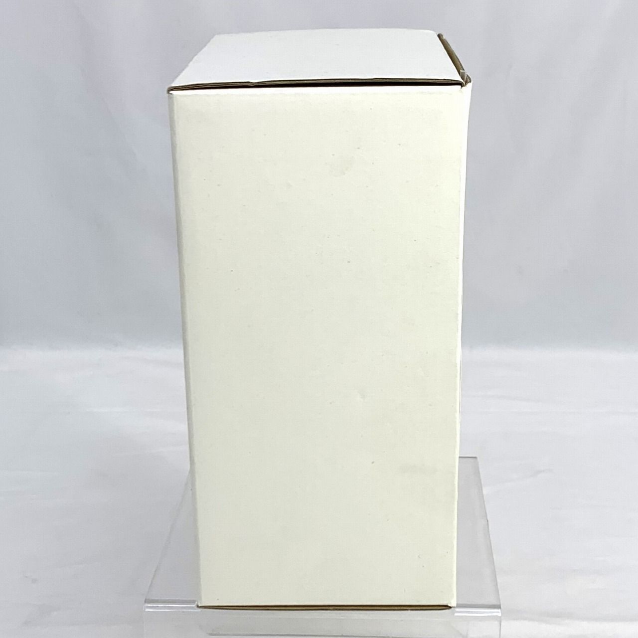 アイナウィンチェスター　ガレージキット ガレキ】対魔忍RPG 1/6 アイナ・ウィンチェスター 未塗装未組立レジン