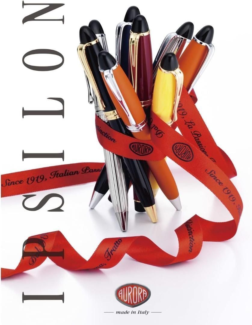 返品可】アウロラ 万年筆 極細字 イプシロン B11-XE ボルドー 両用式