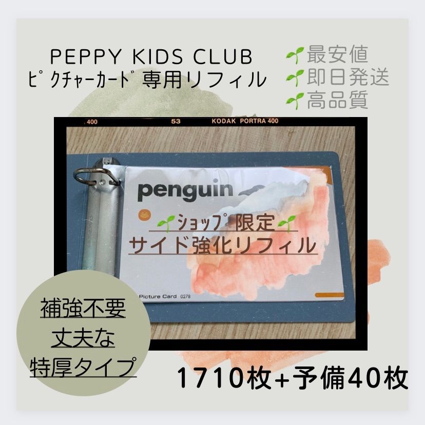 子ども英会話 ペッピーキッズクラブ ピクチャーカード 収納袋 モラモラ リフィル ペッピーキッズ 補強不要 特厚リフィル 裂けないオリジナル加工