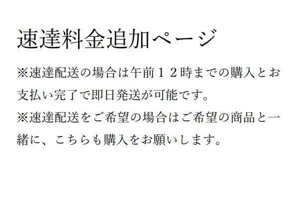 速達配送 追加購入ページ 最短即日発送 翌日お届け - KOSEIHA