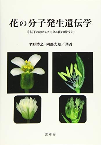 花の分子発生遺伝学 -遺伝子のはたらきによる花の形づくり-／平野 博之、阿部 光知