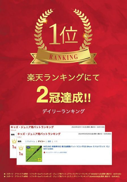 MIZUNO 新基準対応 硬式金属製バット VコングGS 84cm ミドルバランス 1CJMH12384