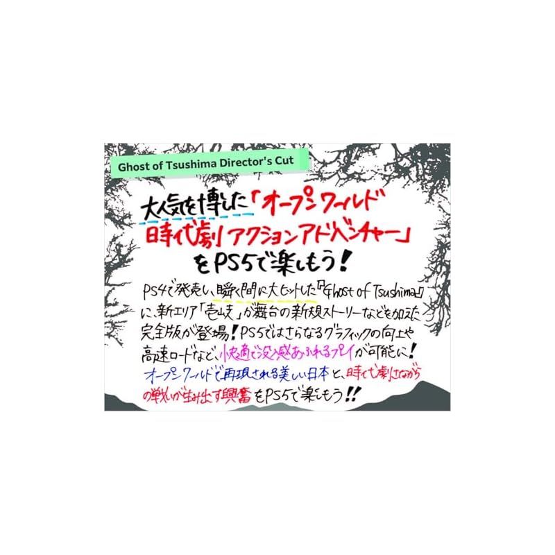PS5 Ghost of Tsushima Director s Cut 特別販売 CEROレーティング Z 1