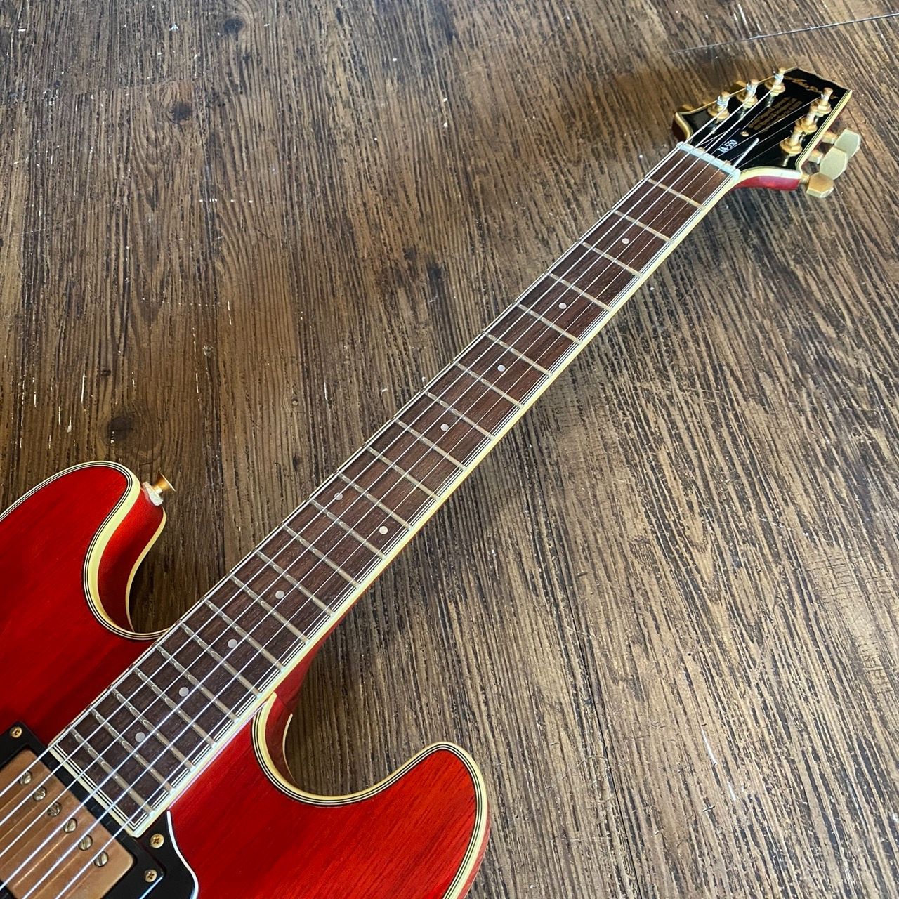 Aria Pro II TA-550 セミアコースティックギター/ソフトケース付 Aria