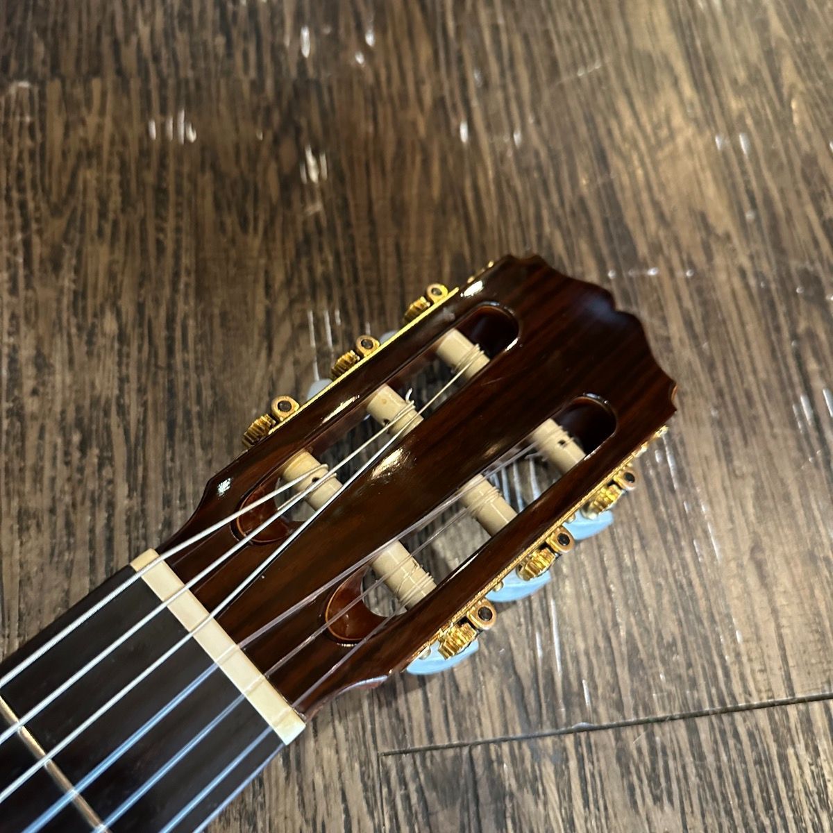 コダイラ アストリアス