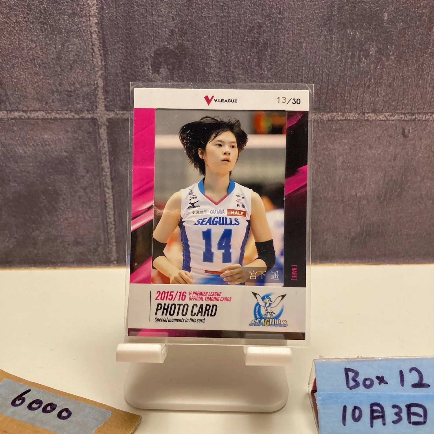 2025年最新】岡山シーガルズの人気アイテム - メルカリ