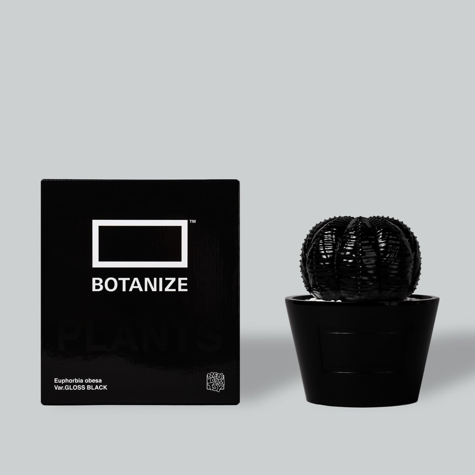 新着商品】× BOTANIZE TOY VCD Euphorbia obesa glosst var. BLACK