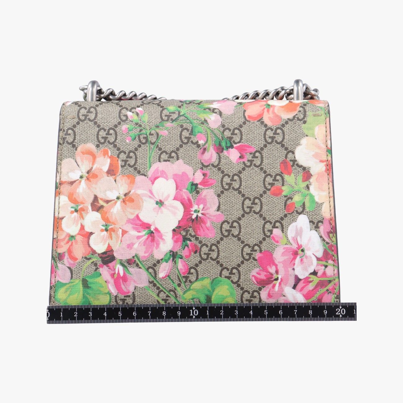 グッチGucciディオニュソスベージュ×レッド×マルチ PVCコーティングキャンバス × スエード421970C022092610