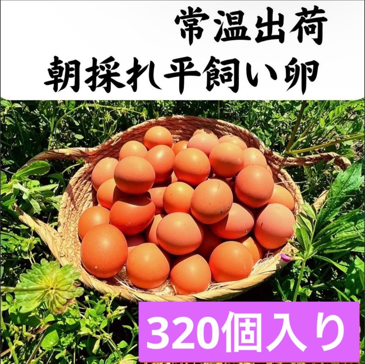 カラフルな鶏デザイン皿 エッグ 玉子 卵 フランス 蚤の市 アンティーク