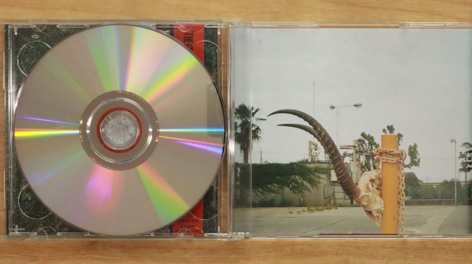 国内盤CD☆ザ・プレデターズ/THE PREDATORS□ 牙をみせろ 【NFCD27902