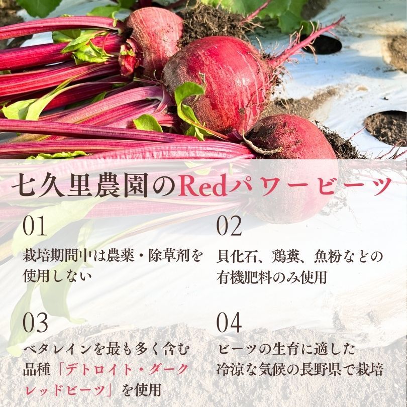 七久里農園 ビーツそのまま真っ赤な ドレッシング 280ml × 2本