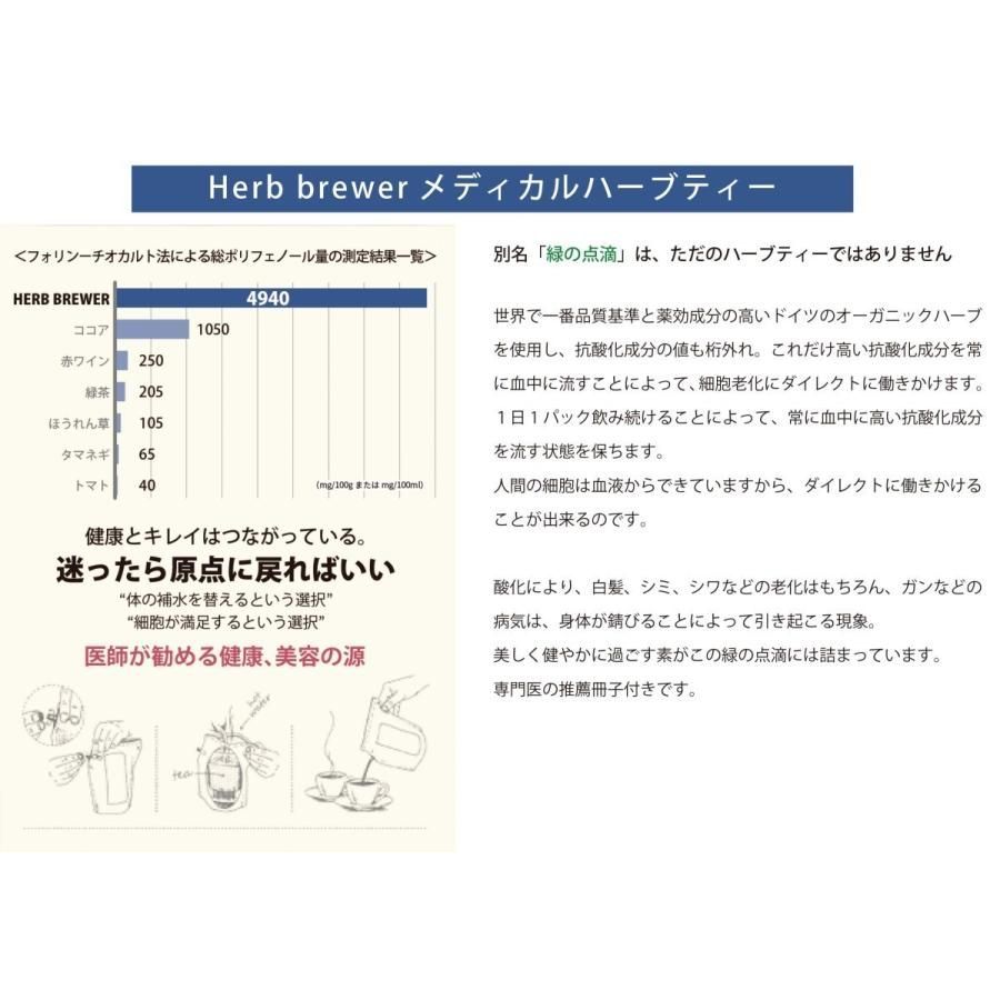 HERB BREWER ハーブブリュワー ハーブ ティー 6 フレーバー セット