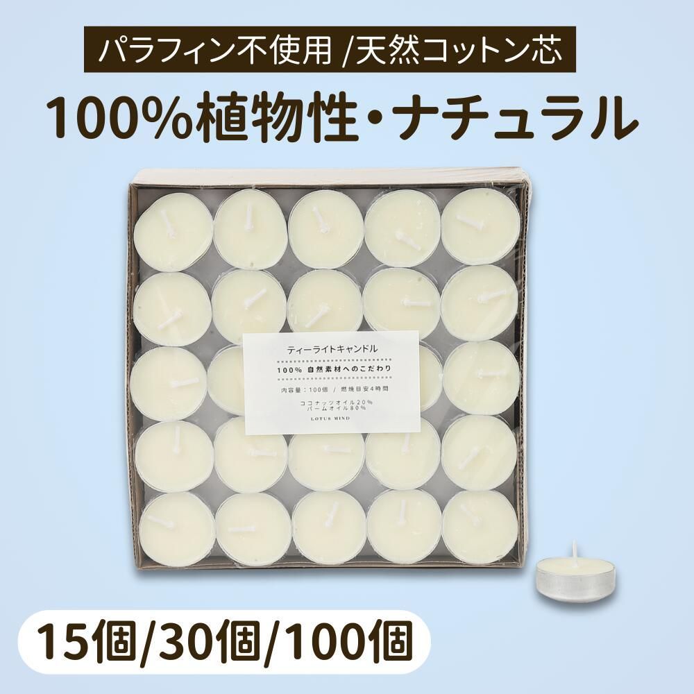 サンワ SANWA M17 RX493 取扱説明書 パワーズプロポバック