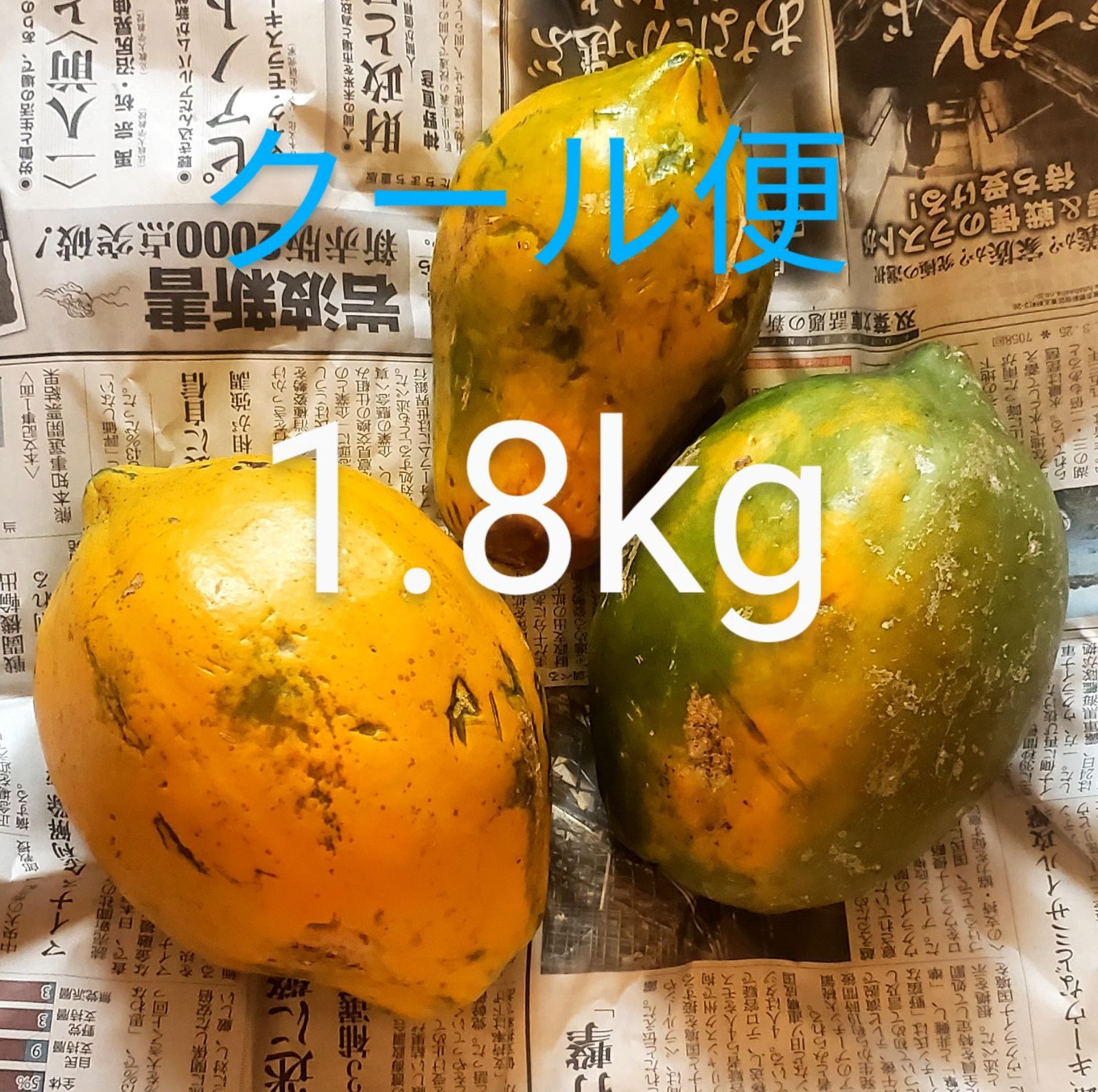 フルーツパパイヤ 1.8kg - メルカリ