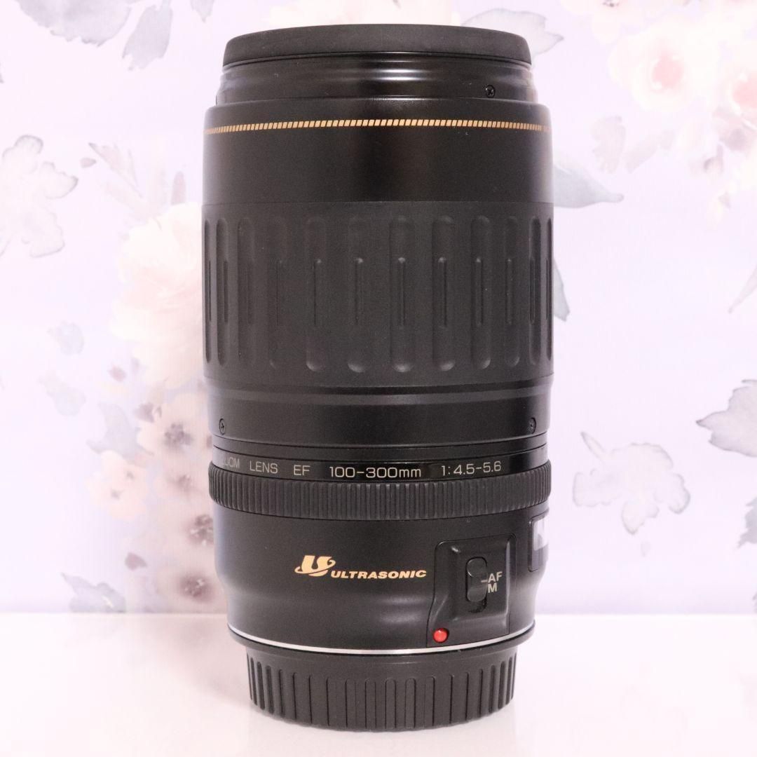 スポーツ/イベント/望遠レンズ/キヤノンCanon EF100-300㎜ EF100-300mm F4.5-5.6 USMで描く幻想的な風景 - 魅惑の中望遠