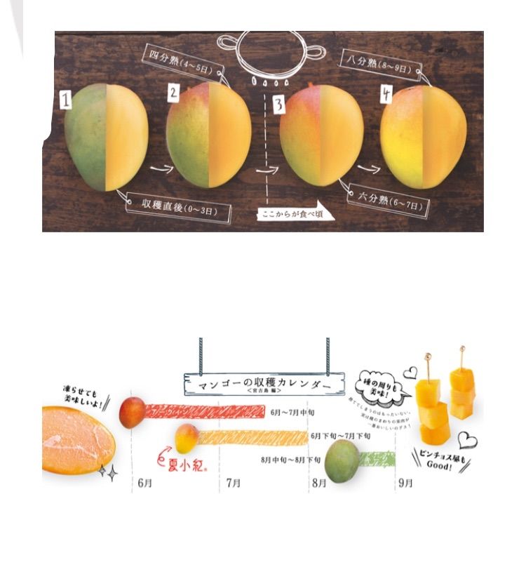 宮古島産🏝金蜜＆夏小紅の2個セットマンゴー 1kg - メルカリ