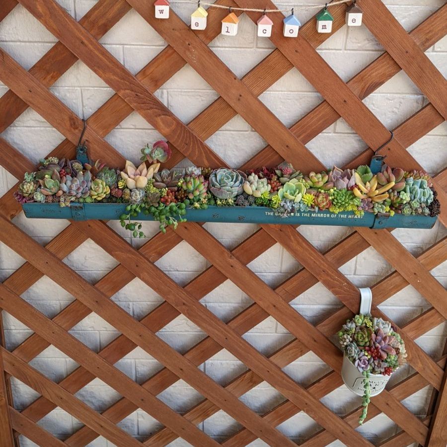 ✿ はな様 ご専用です❗ - メルカリ