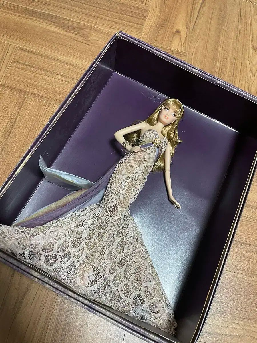 マンモスゴキブリ 89mm パッキング標本 驚異の標本箱 -昆虫- | 丸山