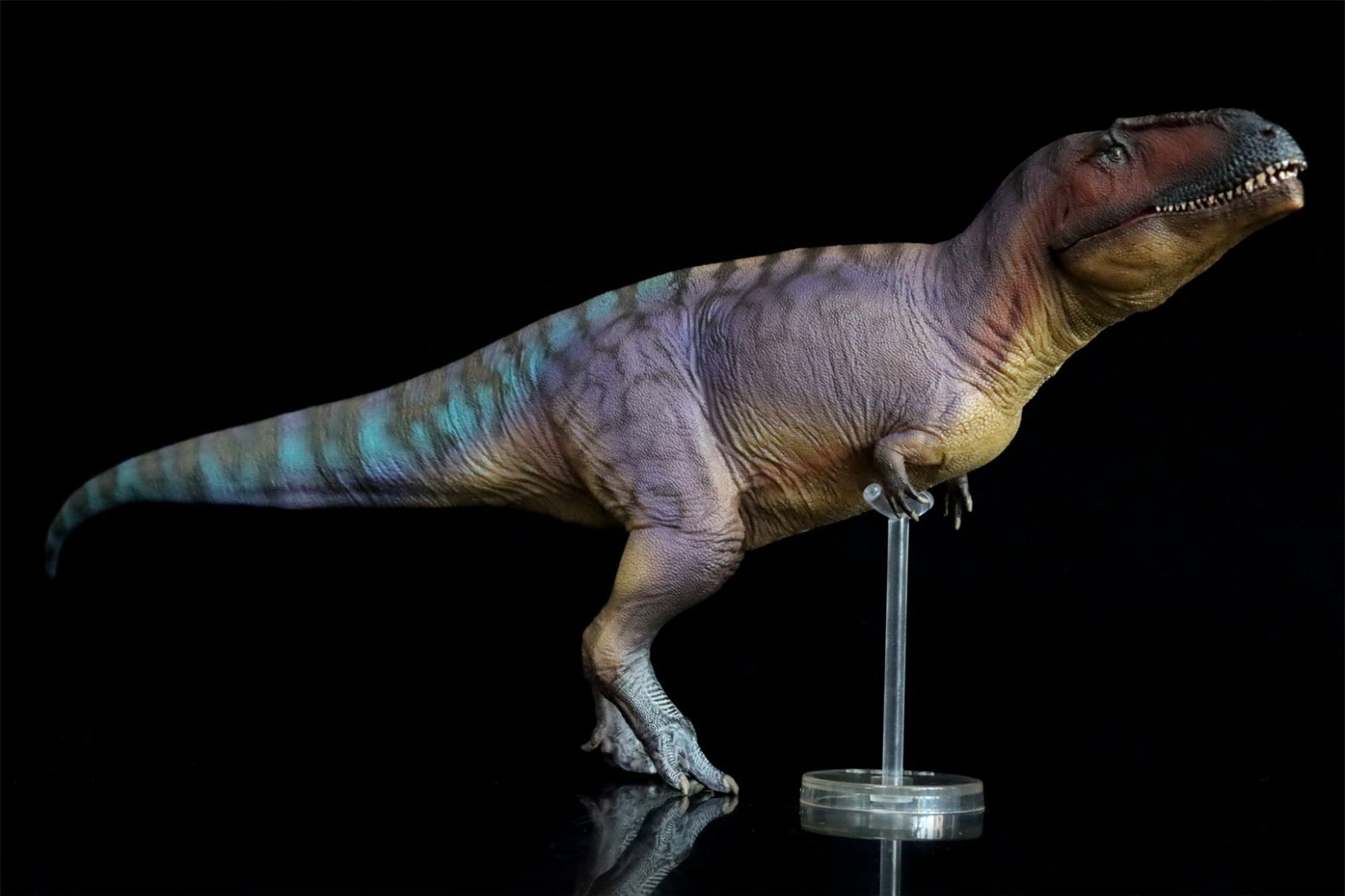 PNSO 成長シリーズ 83 ティラノティタン フィギュア 獣脚類 恐竜