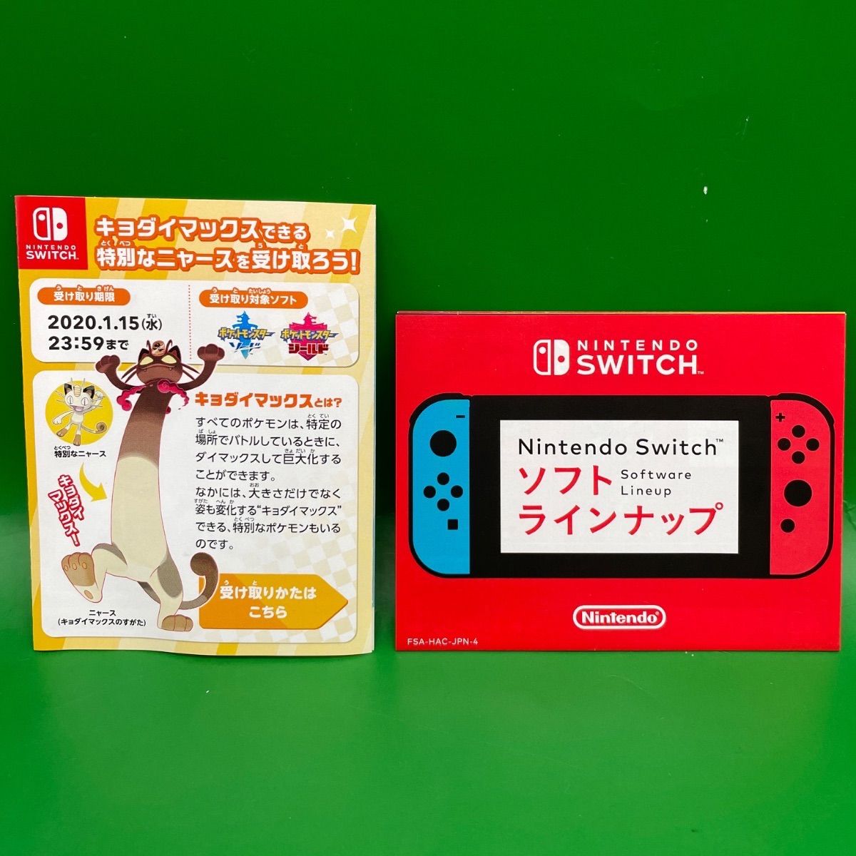 Nintendo Switch【ポケットモンスターシールド】 付属品付き