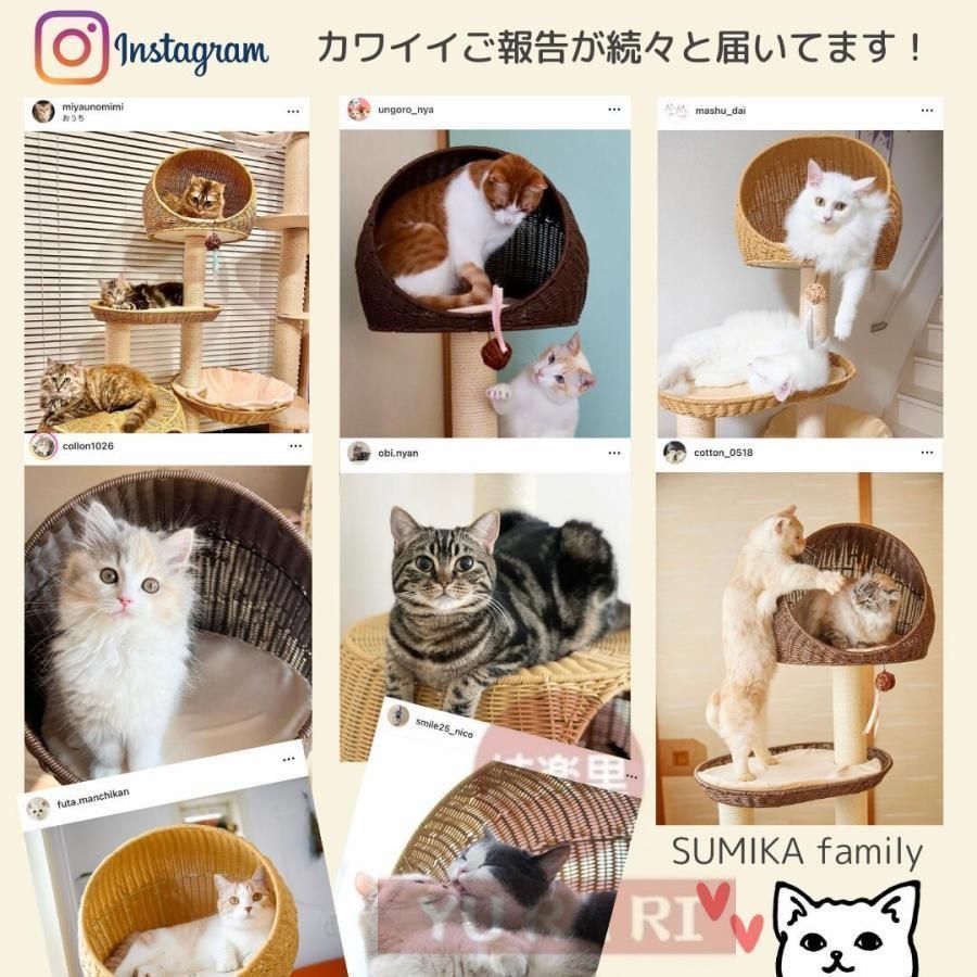 キャットタワー 据え置き 猫タワー おしゃれ 大型猫 多頭飼い 洗える ラタン 猫ハウス SUMIKA キャットタワ