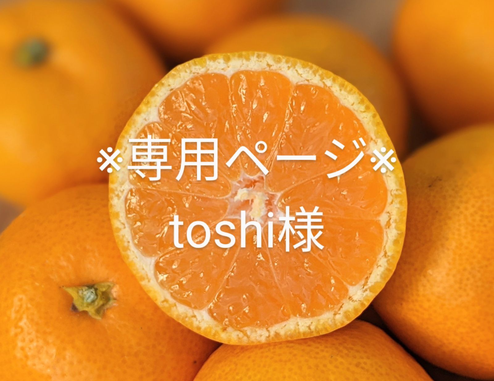 toshi様専用ページ