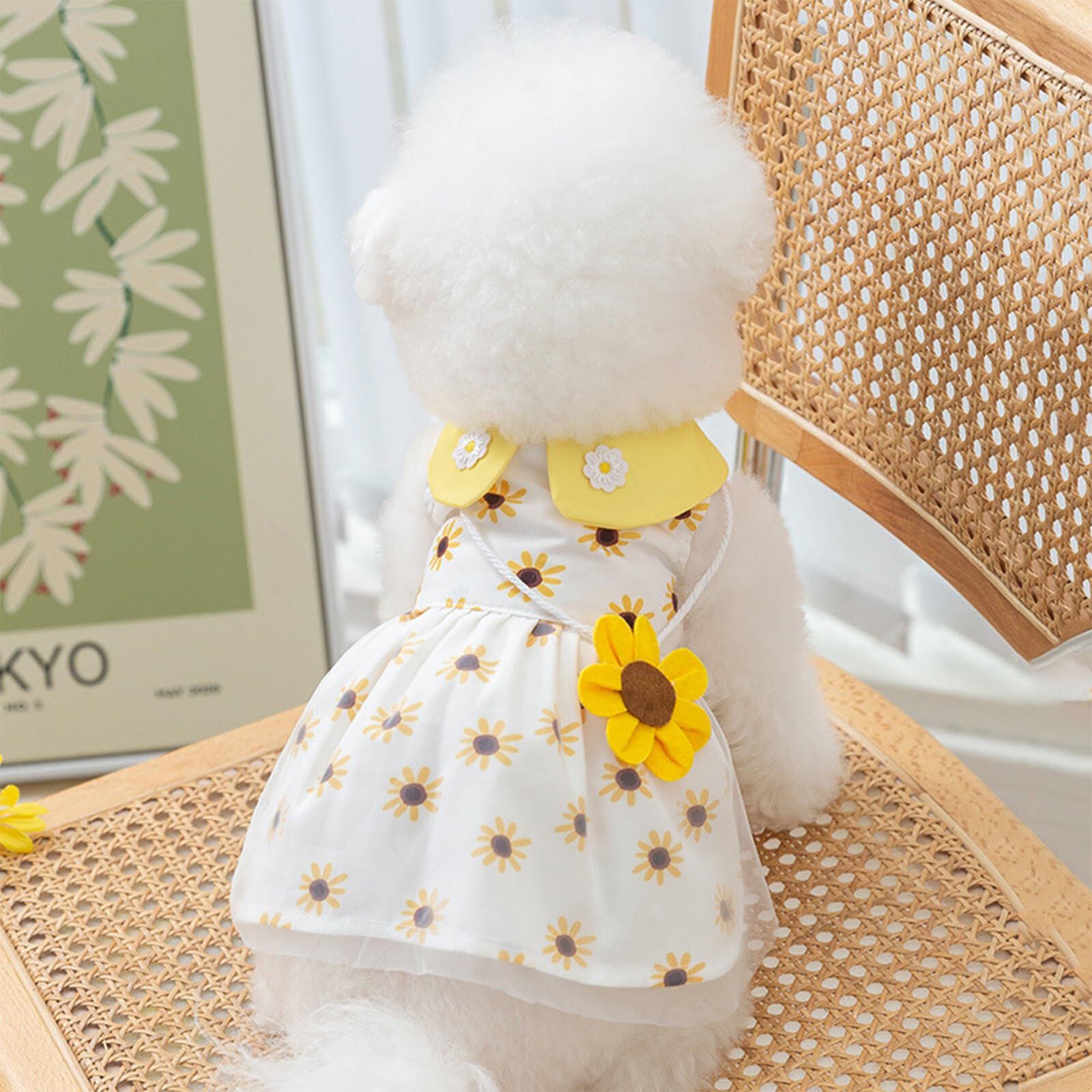 新品 Jimjis 犬服 ワンピース 春夏 通気 お姫様 ドレス スカート