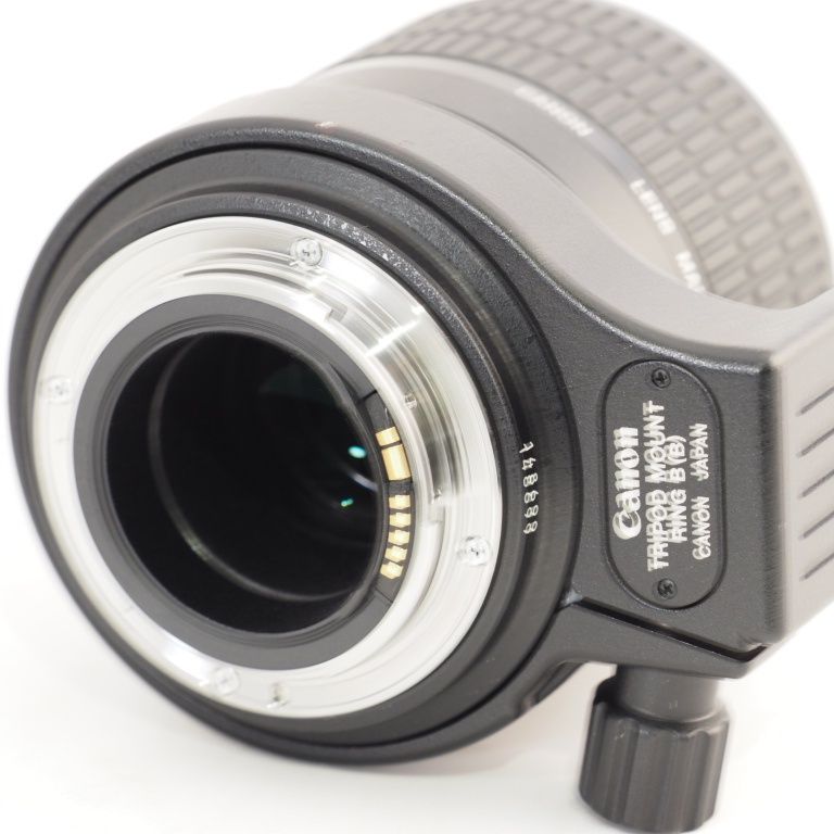 Canon MP-E 65mm F2.8 1-5x EFマウント ｜D295 Canon MP-E 65mm