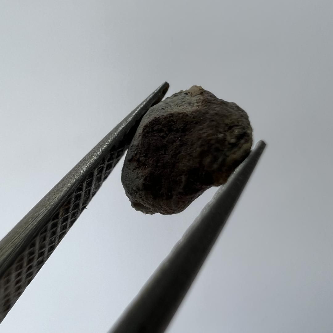 E21950】月の隕石＊月から飛来した隕石＊隕石＊Lunar Meteorite