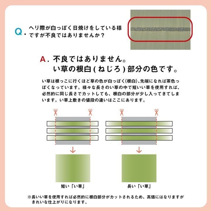 コバガードい草