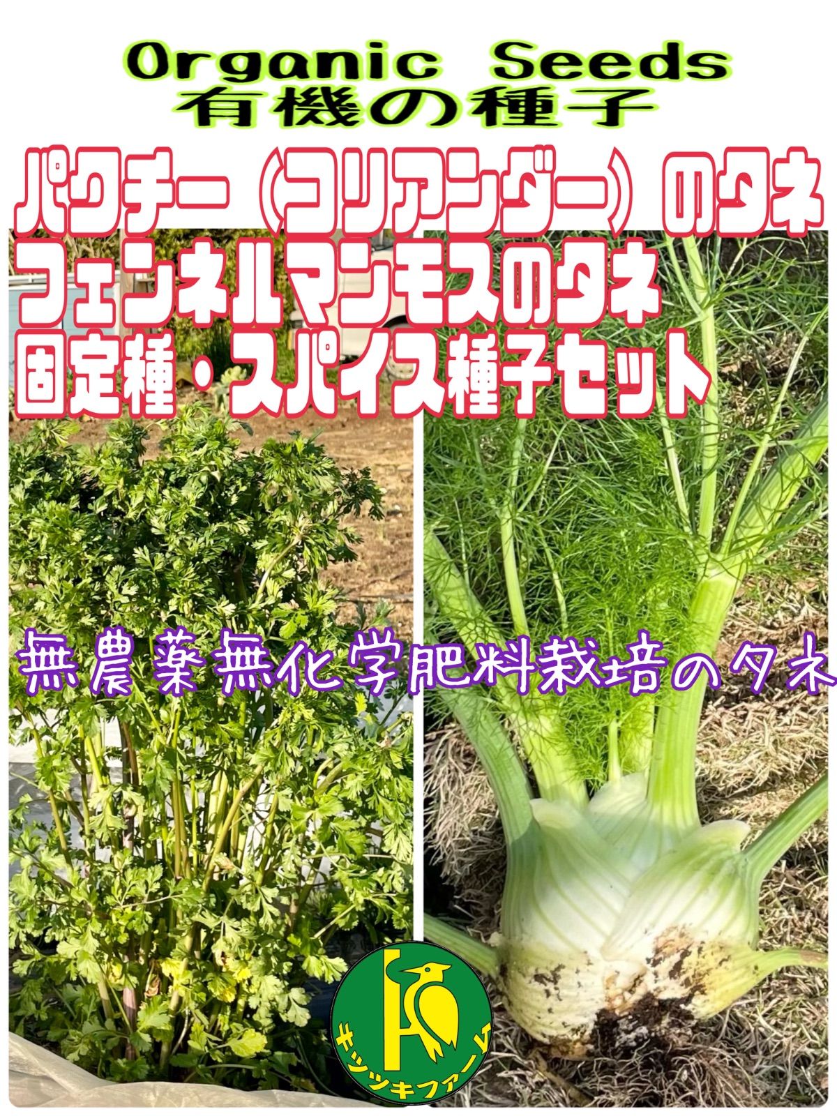 新鮮コリアンダー 根付き 料理用 パクチー 396836e41c9ef75091f1c8f6bca11b