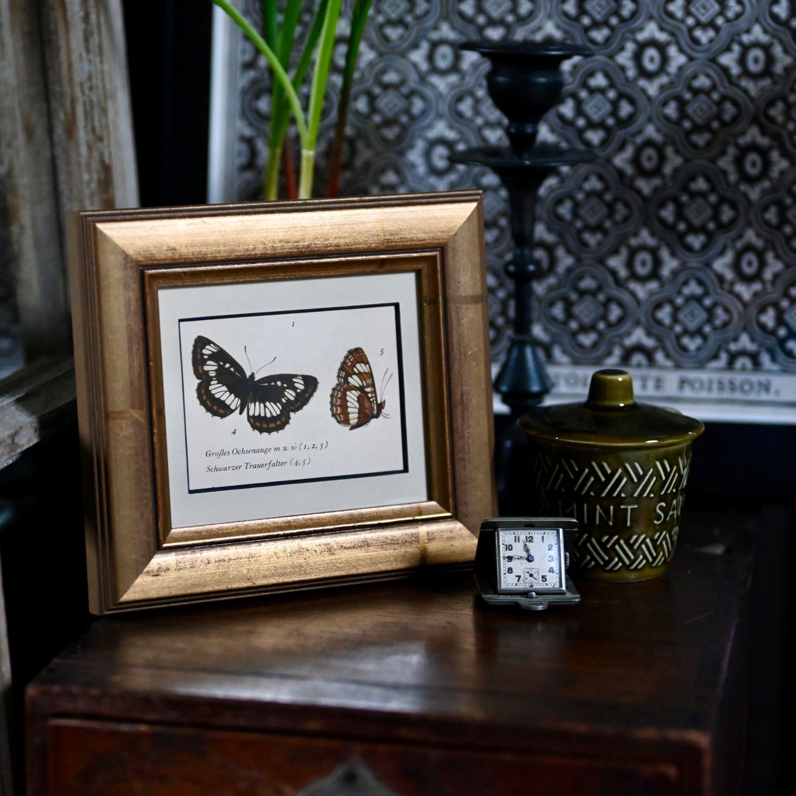 ヴィンテージフレーム「フタスジチョウ」希少なヴィンテージ図鑑の