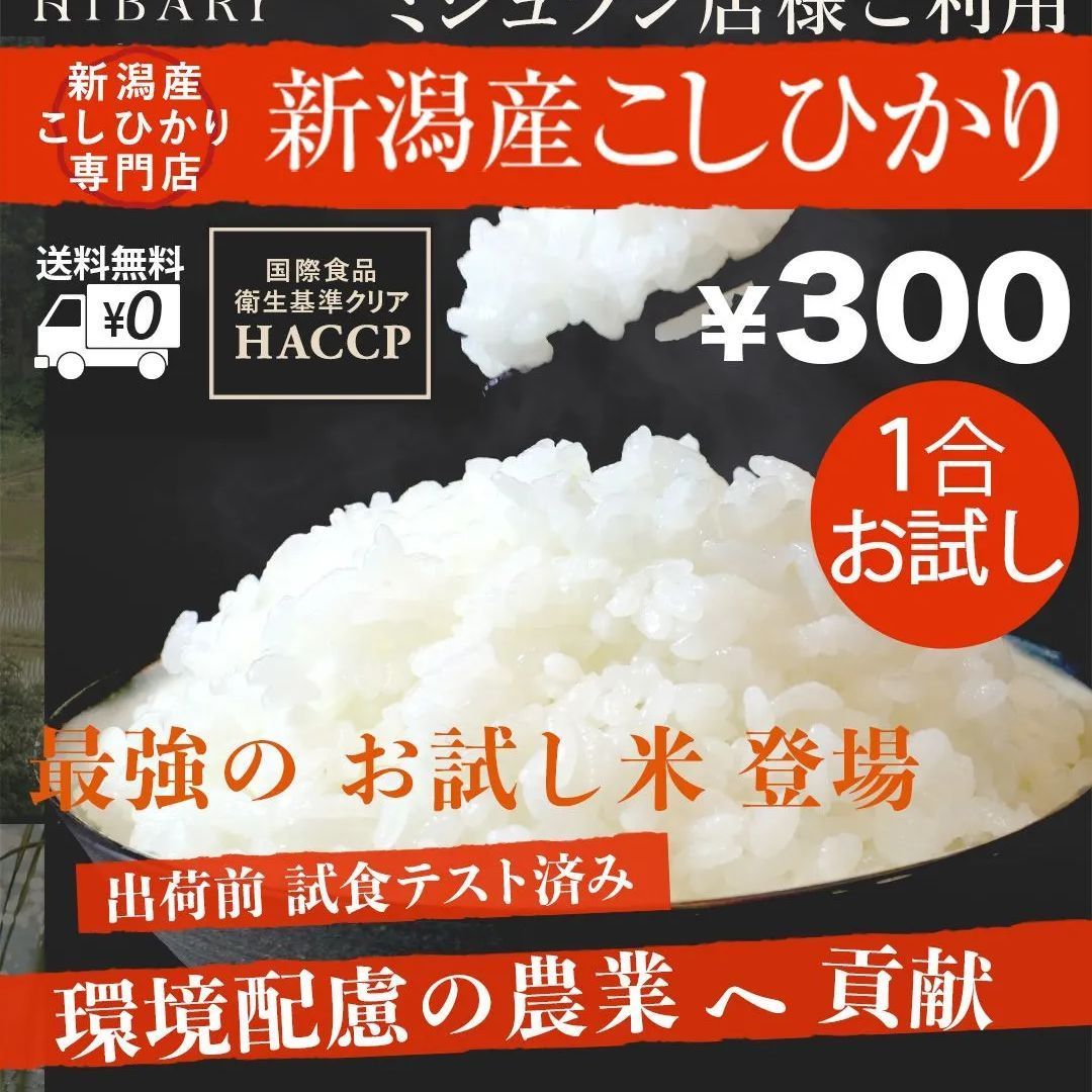 お試しサイズ 令和4年産 新潟県産コシヒカリ 白米 150g 1合  ミシュラン-0