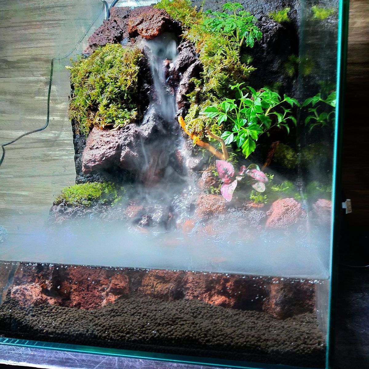 滝と霧の流れるアクアテラリウム GISELe様専用 - メルカリ