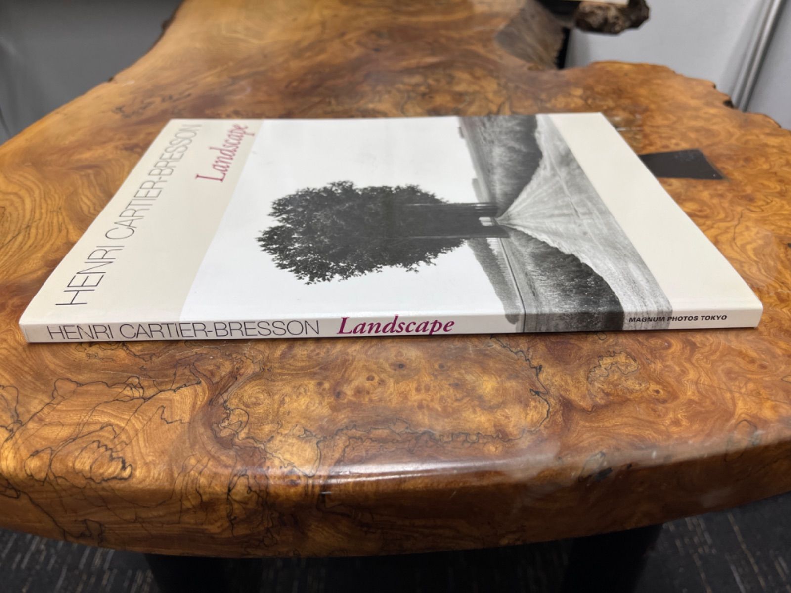 Henri Cartier-Bresson Landscape アンリ・カルティエ＝ブレッソン