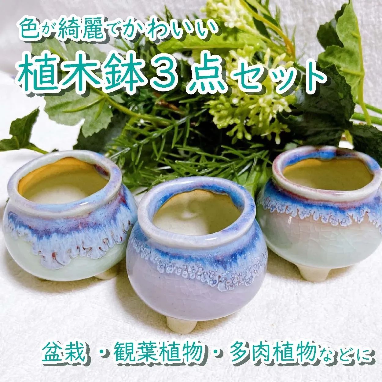 青緑色の陶器製花瓶と多肉植物*3 青緑色の陶器製花瓶と多肉植物*3