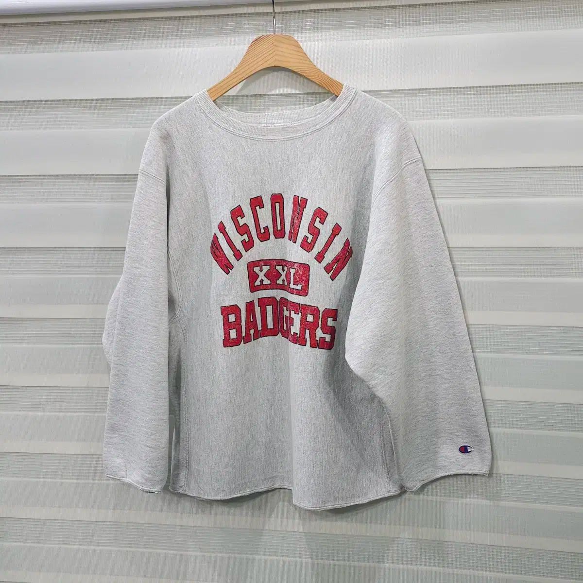 USA 90s Champion(チャンピオン) リバースウィーブ スウェットシャツ- XL
